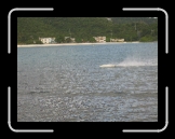 Tortola 237 * Racing RC boats * 2592 x 1944 * (2.33MB)